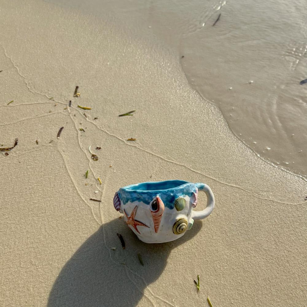 Seashells and sea